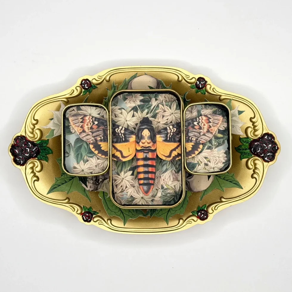 Death's Head Moth